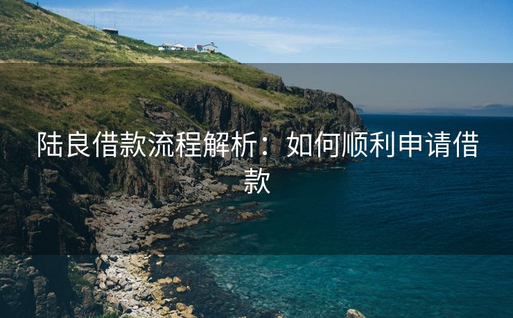 陆良借款流程解析：如何顺利申请借款
