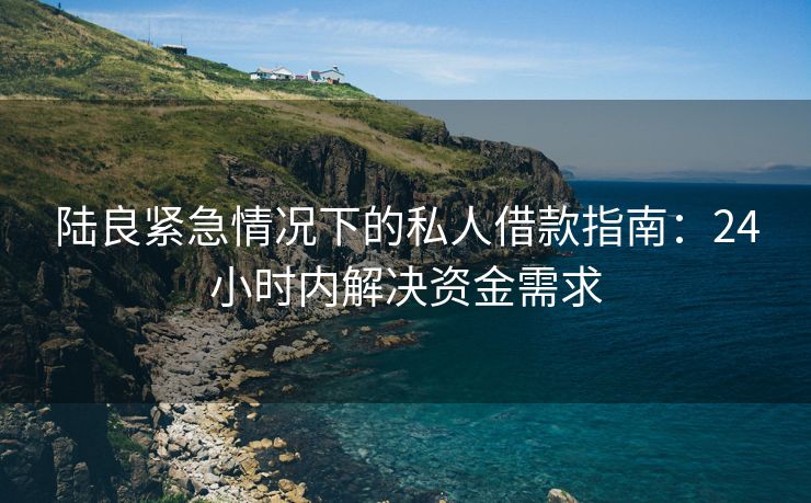 陆良紧急情况下的私人借款指南：24小时内解决资金需求