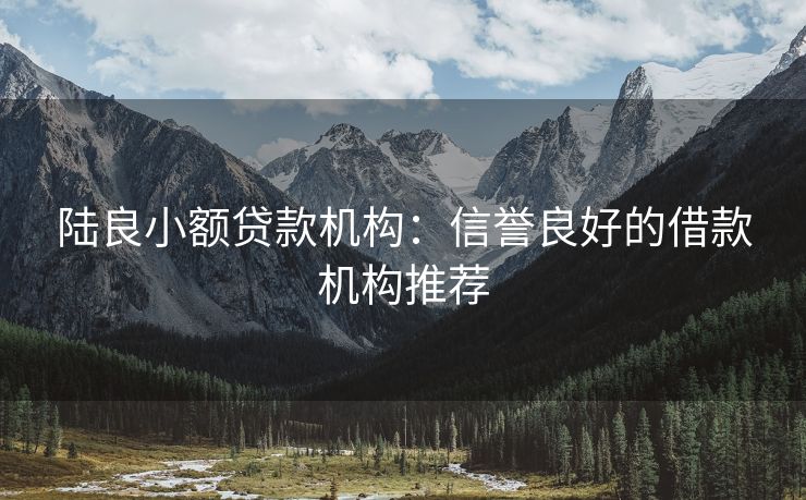 陆良小额贷款机构：信誉良好的借款机构推荐