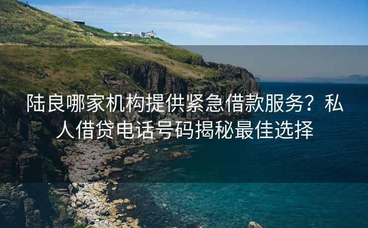 陆良哪家机构提供紧急借款服务？私人借贷电话号码揭秘最佳选择