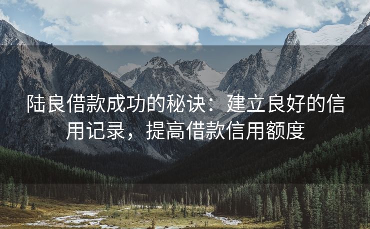 陆良借款成功的秘诀：建立良好的信用记录，提高借款信用额度