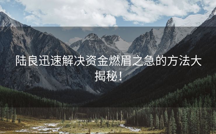陆良迅速解决资金燃眉之急的方法大揭秘！