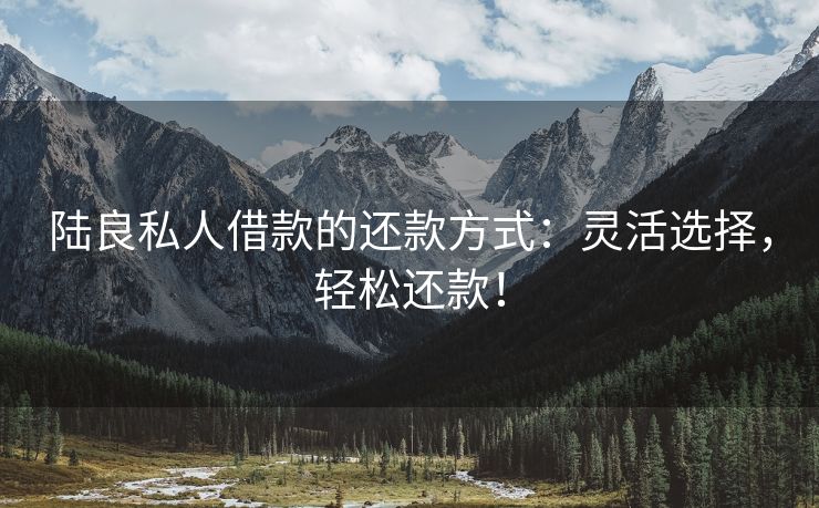 陆良私人借款的还款方式：灵活选择，轻松还款！