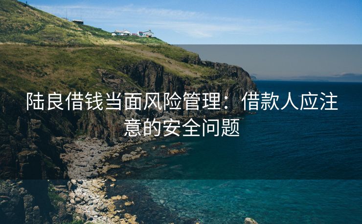 陆良借钱当面风险管理：借款人应注意的安全问题