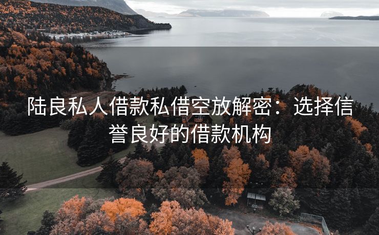 陆良私人借款私借空放解密：选择信誉良好的借款机构