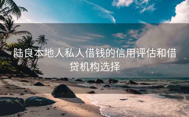 陆良本地人私人借钱的信用评估和借贷机构选择