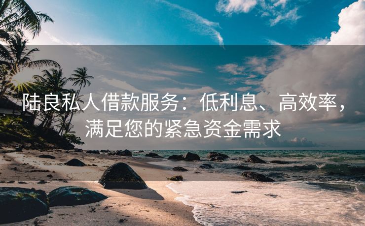 陆良私人借款服务：低利息、高效率，满足您的紧急资金需求