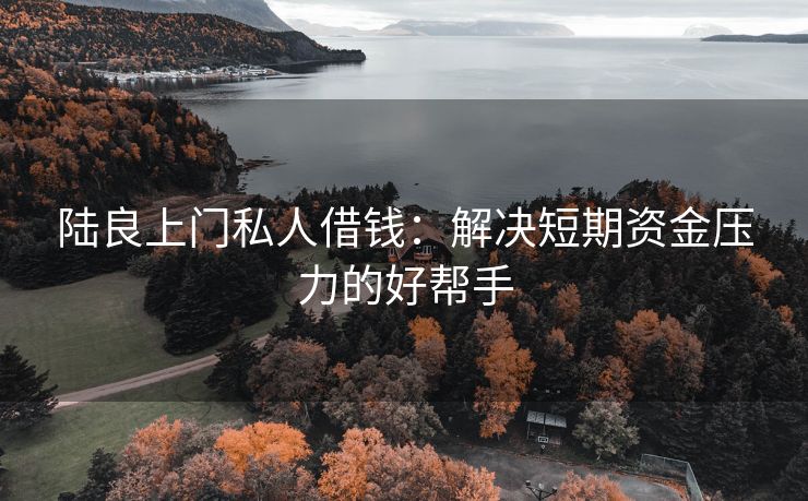 陆良上门私人借钱：解决短期资金压力的好帮手