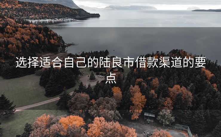 选择适合自己的陆良市借款渠道的要点
