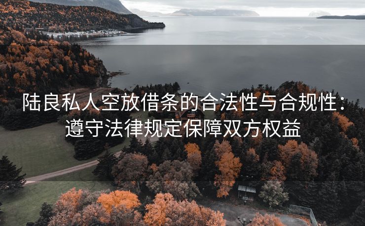 陆良私人空放借条的合法性与合规性：遵守法律规定保障双方权益