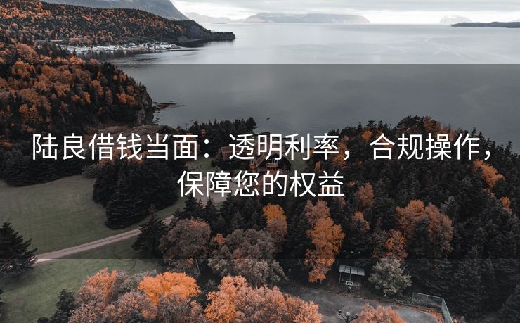 陆良借钱当面：透明利率，合规操作，保障您的权益