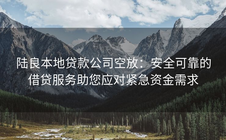 陆良本地贷款公司空放：安全可靠的借贷服务助您应对紧急资金需求