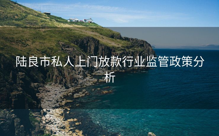 陆良市私人上门放款行业监管政策分析