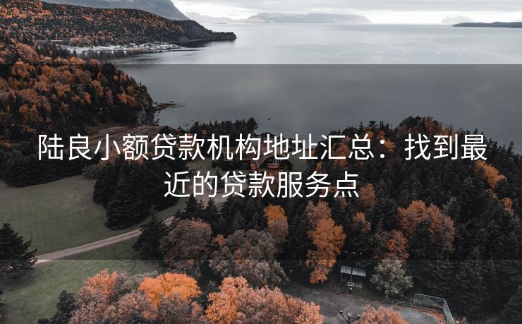 陆良小额贷款机构地址汇总：找到最近的贷款服务点