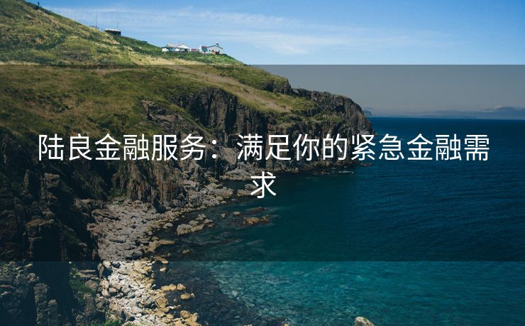 陆良金融服务：满足你的紧急金融需求