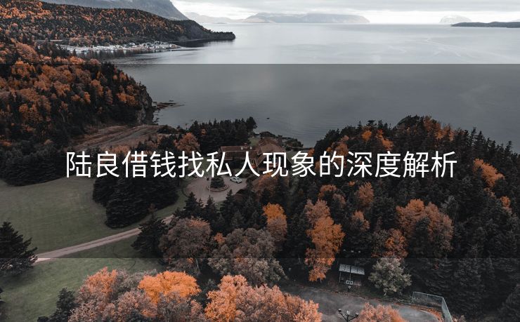 陆良借钱找私人现象的深度解析