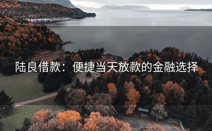 陆良借款：便捷当天放款的金融选择