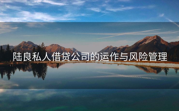 陆良私人借贷公司的运作与风险管理