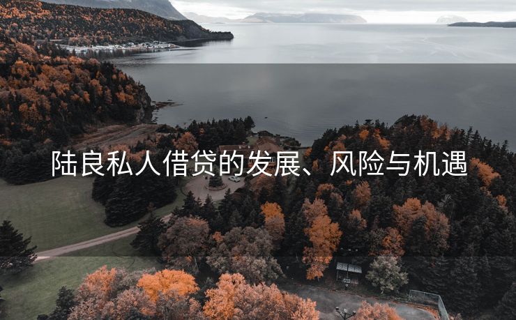 陆良私人借贷的发展、风险与机遇