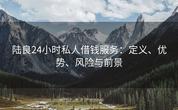 陆良24小时私人借钱服务：定义、优势、风险与前景