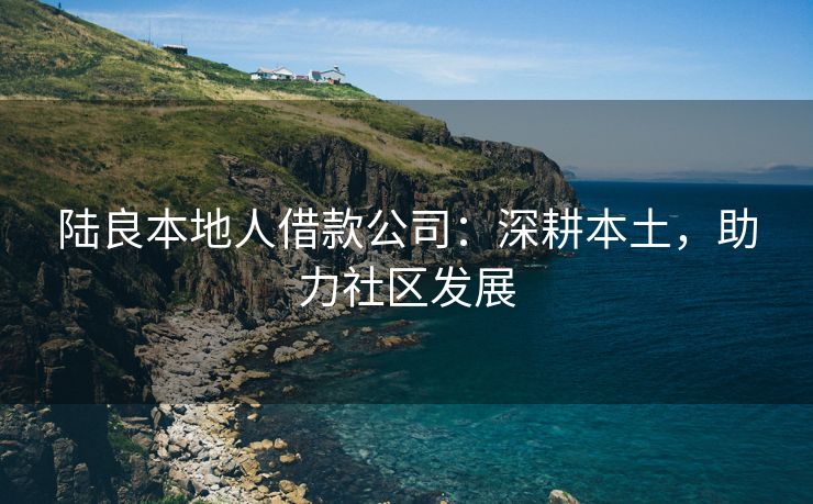 陆良本地人借款公司：深耕本土，助力社区发展