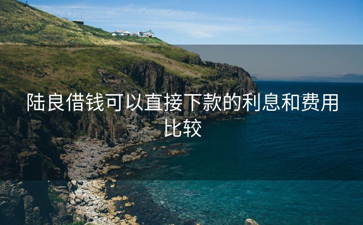 陆良借钱可以直接下款的利息和费用比较