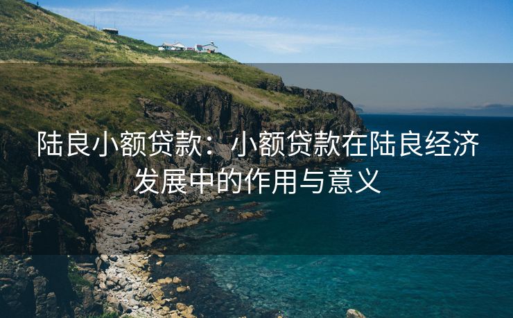 陆良小额贷款：小额贷款在陆良经济发展中的作用与意义