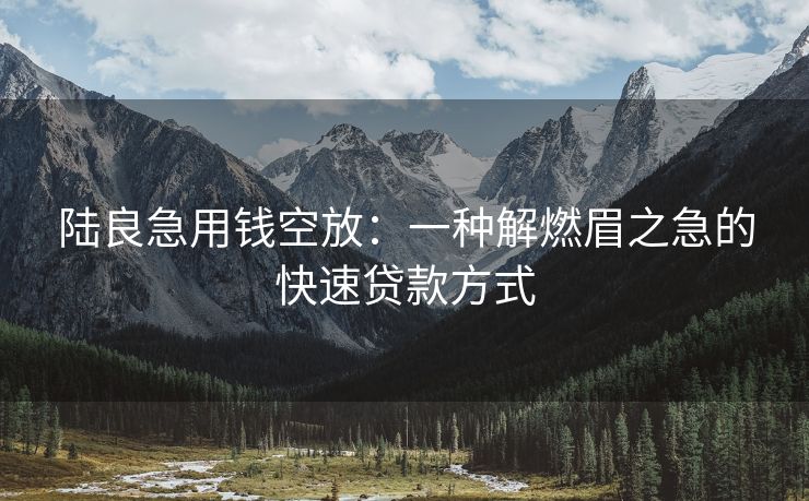 陆良急用钱空放：一种解燃眉之急的快速贷款方式