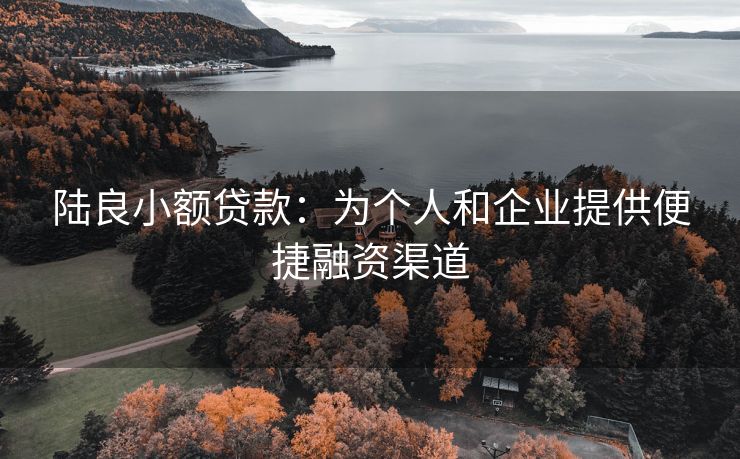 陆良小额贷款：为个人和企业提供便捷融资渠道