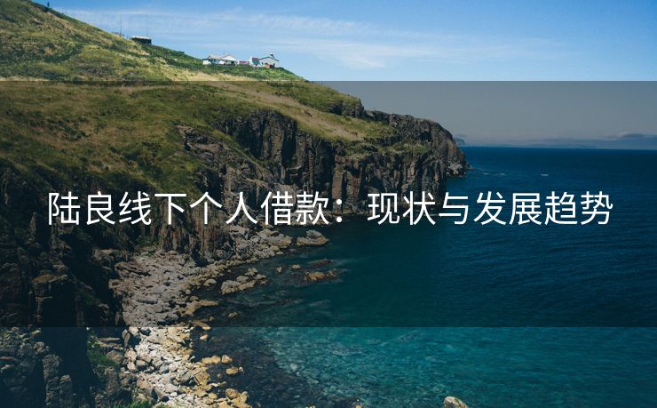 陆良线下个人借款：现状与发展趋势