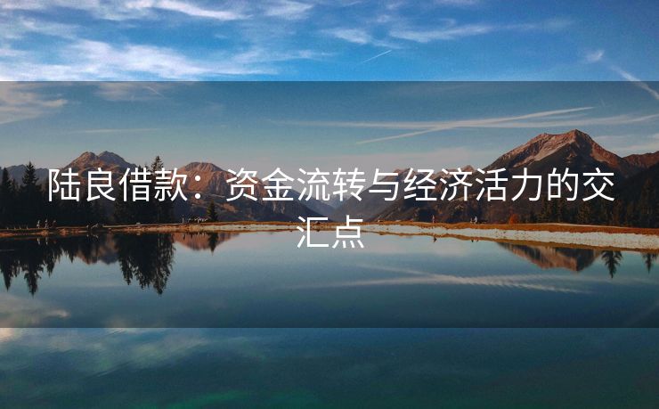 陆良借款：资金流转与经济活力的交汇点