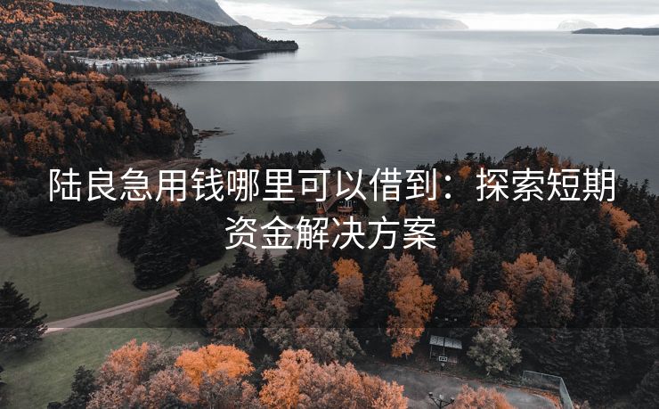 陆良急用钱哪里可以借到：探索短期资金解决方案