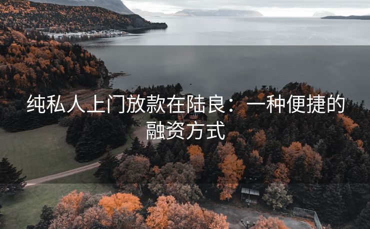 纯私人上门放款在陆良：一种便捷的融资方式