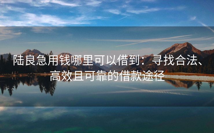 陆良急用钱哪里可以借到：寻找合法、高效且可靠的借款途径