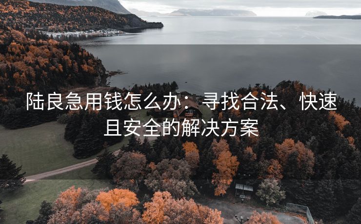 陆良急用钱怎么办：寻找合法、快速且安全的解决方案