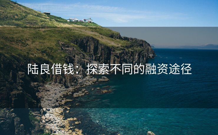 陆良借钱：探索不同的融资途径