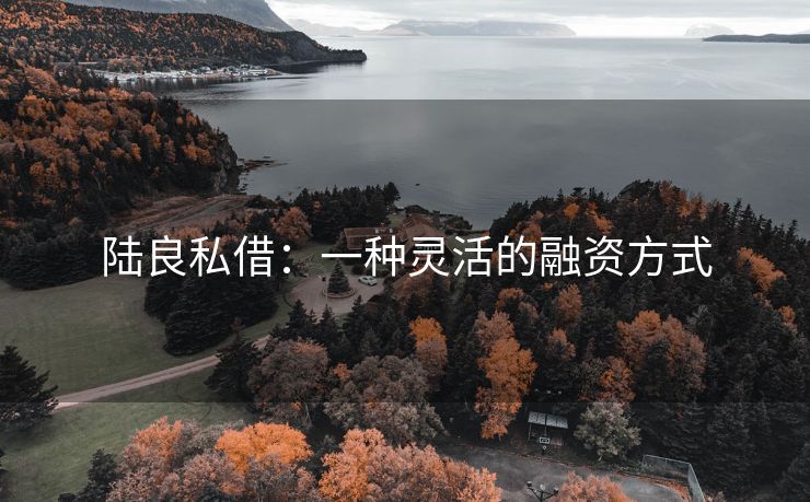陆良私借：一种灵活的融资方式