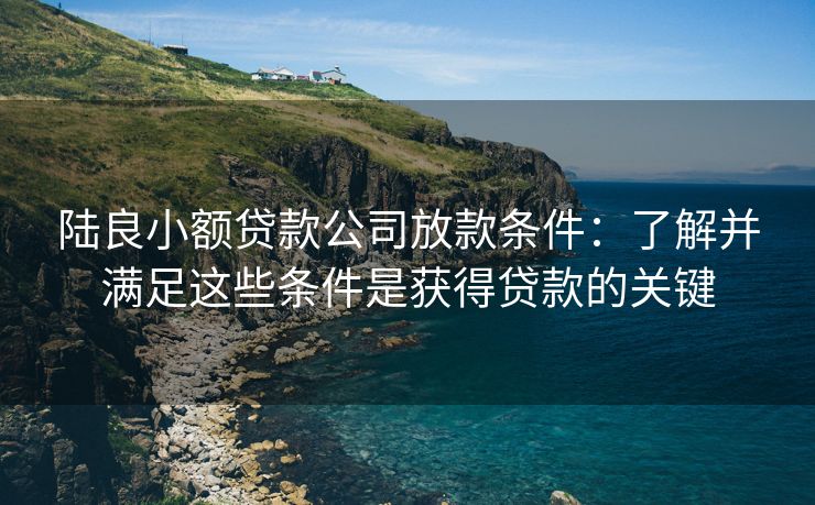 陆良小额贷款公司放款条件：了解并满足这些条件是获得贷款的关键