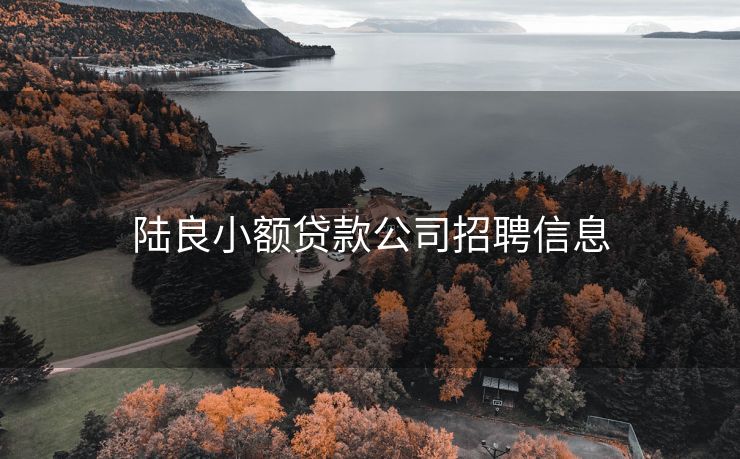 陆良小额贷款公司招聘信息