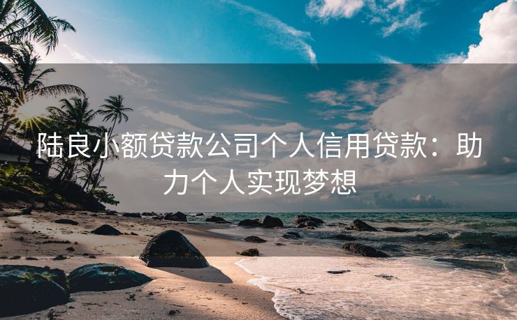 陆良小额贷款公司个人信用贷款：助力个人实现梦想