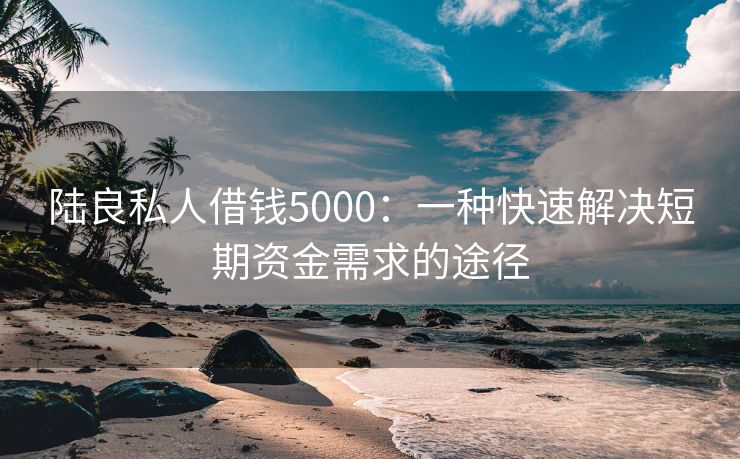 陆良私人借钱5000：一种快速解决短期资金需求的途径