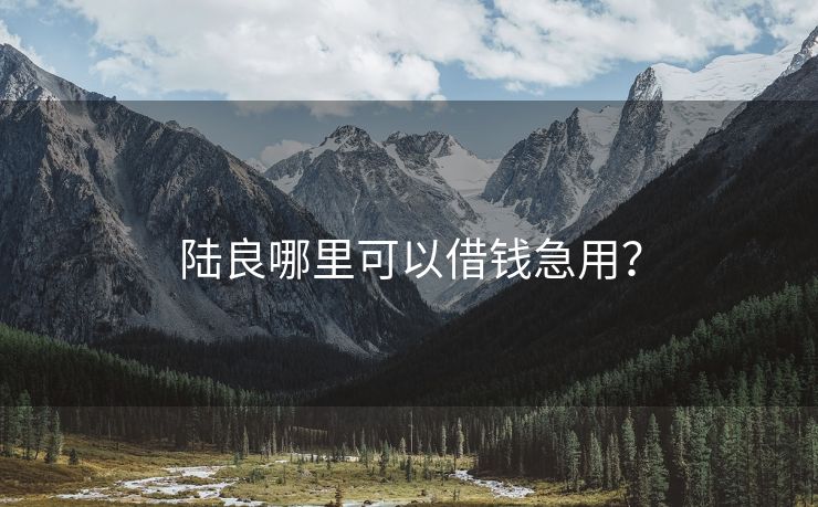 陆良哪里可以借钱急用？