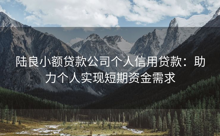 陆良小额贷款公司个人信用贷款：助力个人实现短期资金需求