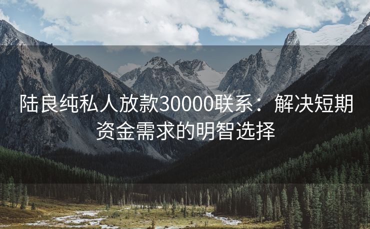 陆良纯私人放款30000联系：解决短期资金需求的明智选择