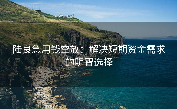 陆良急用钱空放：解决短期资金需求的明智选择