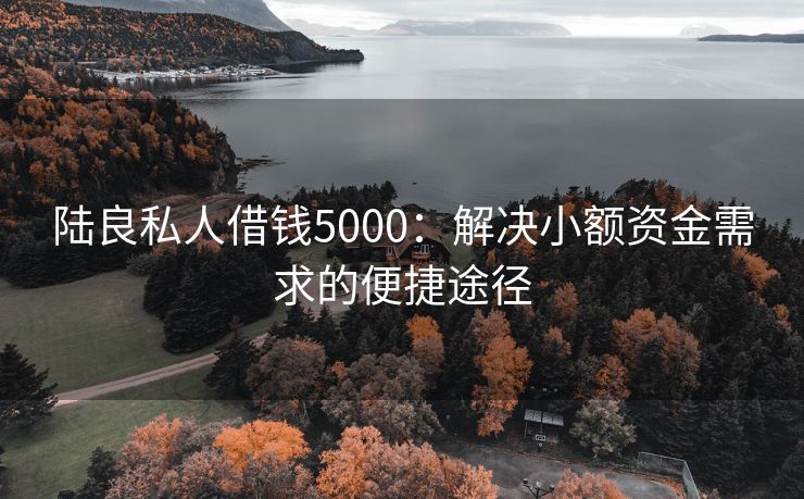 陆良私人借钱5000：解决小额资金需求的便捷途径