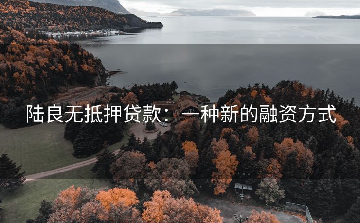 陆良无抵押贷款：一种新的融资方式