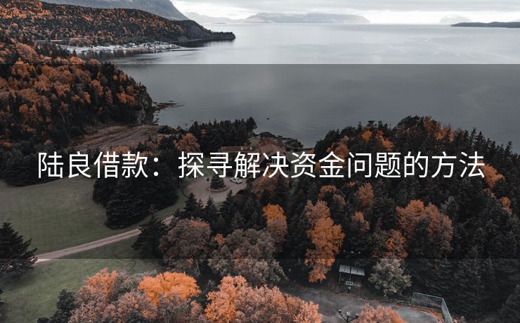 陆良借款：探寻解决资金问题的方法