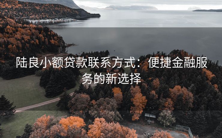 陆良小额贷款联系方式：便捷金融服务的新选择