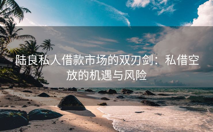 陆良私人借款市场的双刃剑：私借空放的机遇与风险